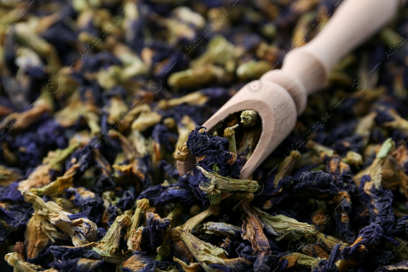 Butterfly pea flower tea with scoop as background, closeup Photo of Butterfly pea flower tea with scoop as background, closeup