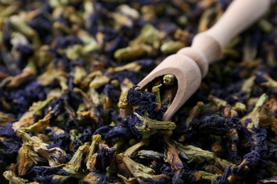 Photo of Butterfly pea flower tea with scoop as background, closeup