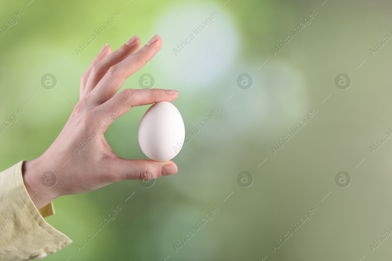 Photo of Woman holding raw egg on blurred background, closeup. Space for text