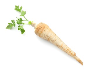 Photo of One fresh parsley root isolated on white, top view