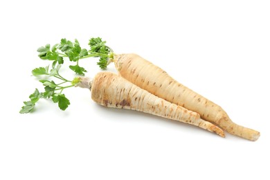 Photo of Two fresh parsley roots isolated on white