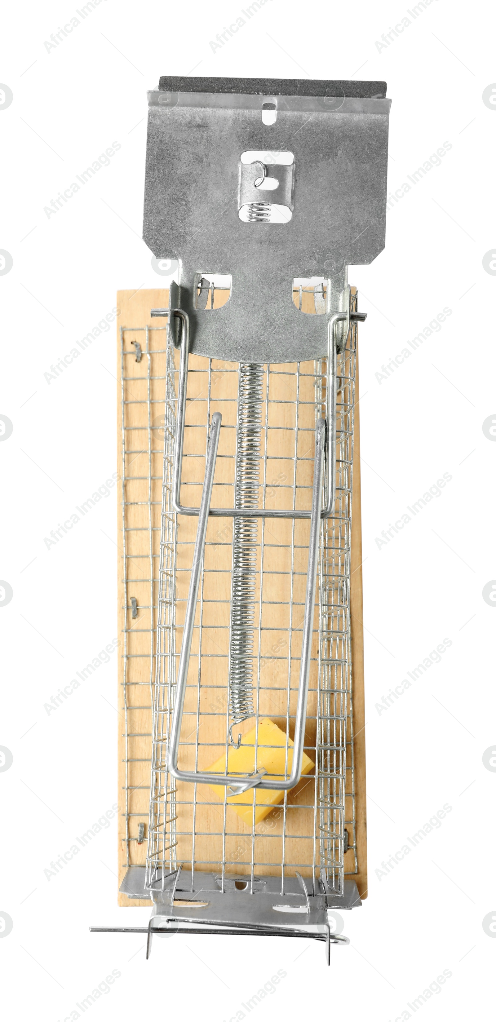 Photo of Mouse trap with cheese isolated on white, top view