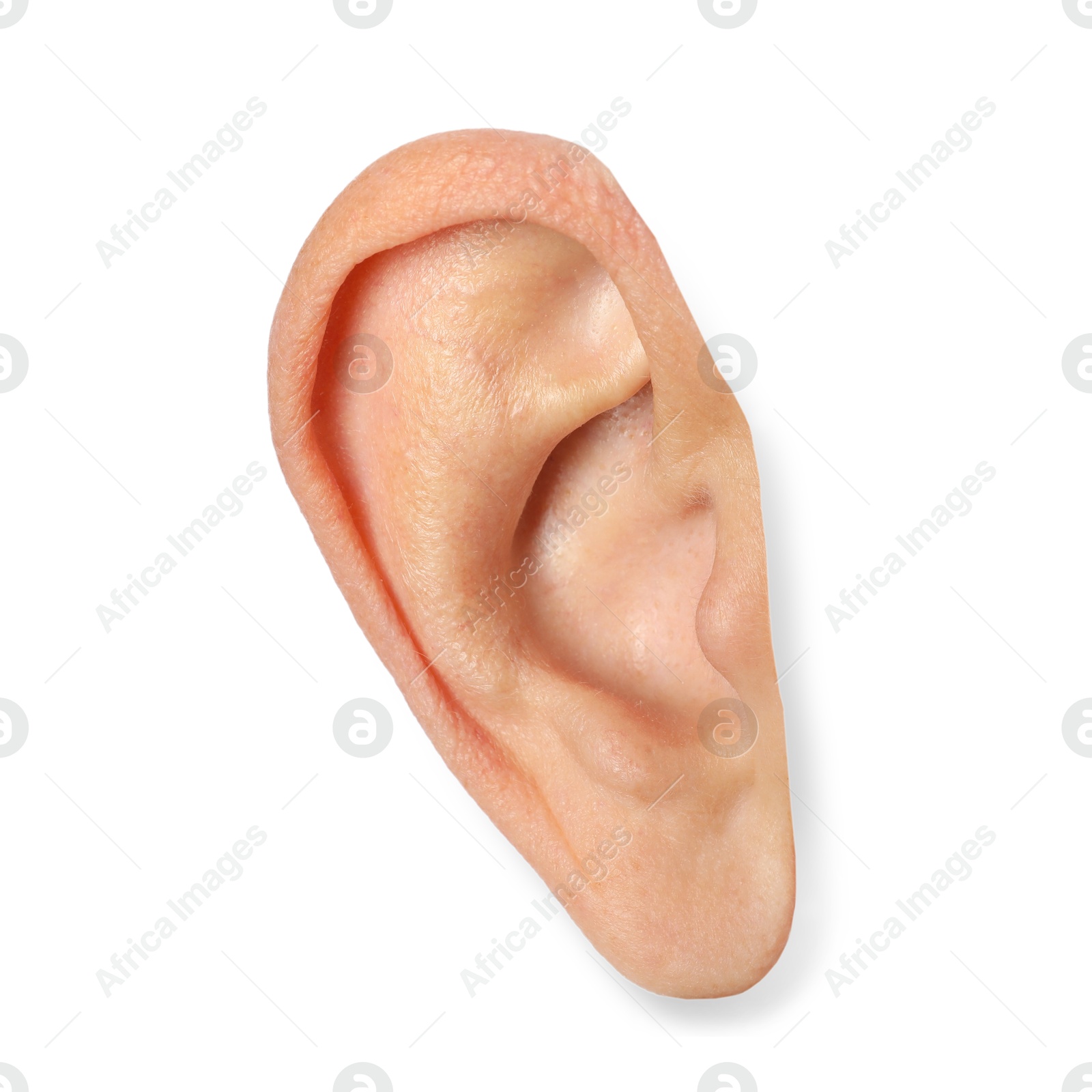 Photo of Human ear isolated on white, closeup view