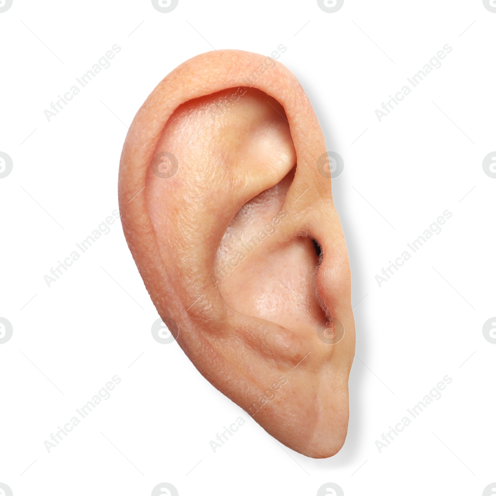 Photo of Human ear isolated on white, closeup view