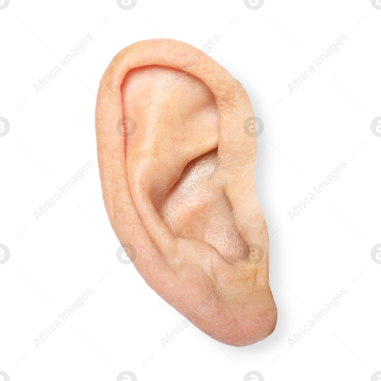 Photo of Human ear isolated on white, closeup view