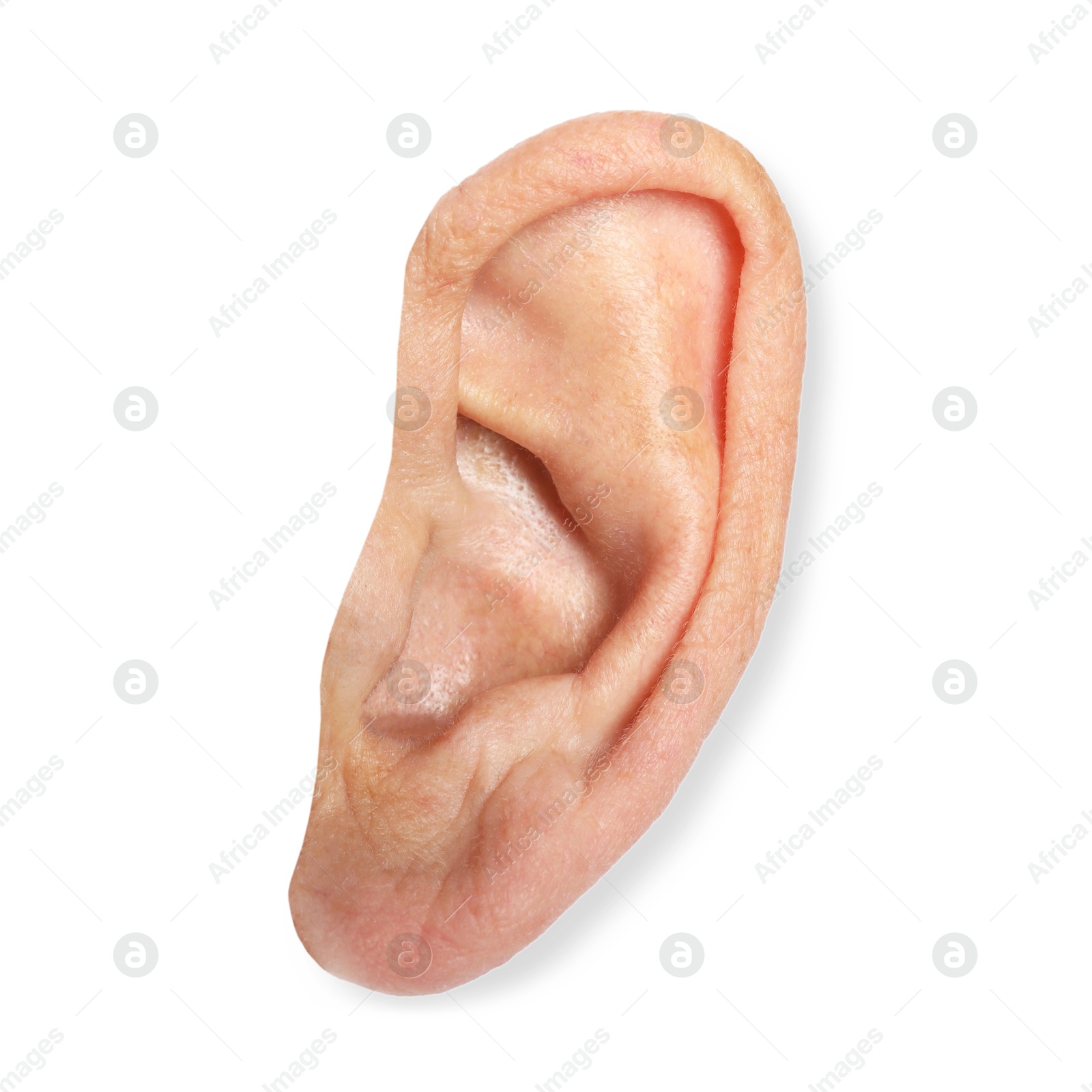 Photo of Human ear isolated on white, closeup view