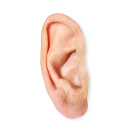 Photo of Human ear isolated on white, closeup view