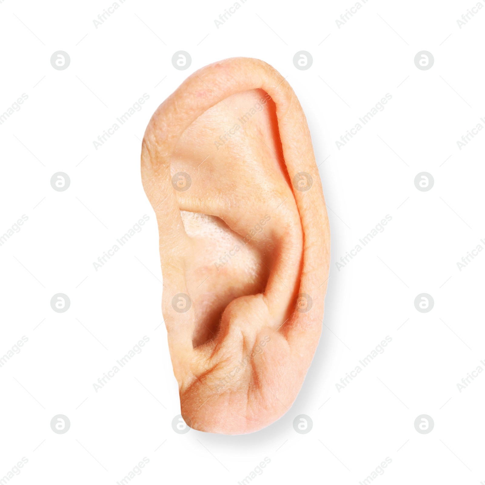 Photo of Human ear isolated on white, closeup view