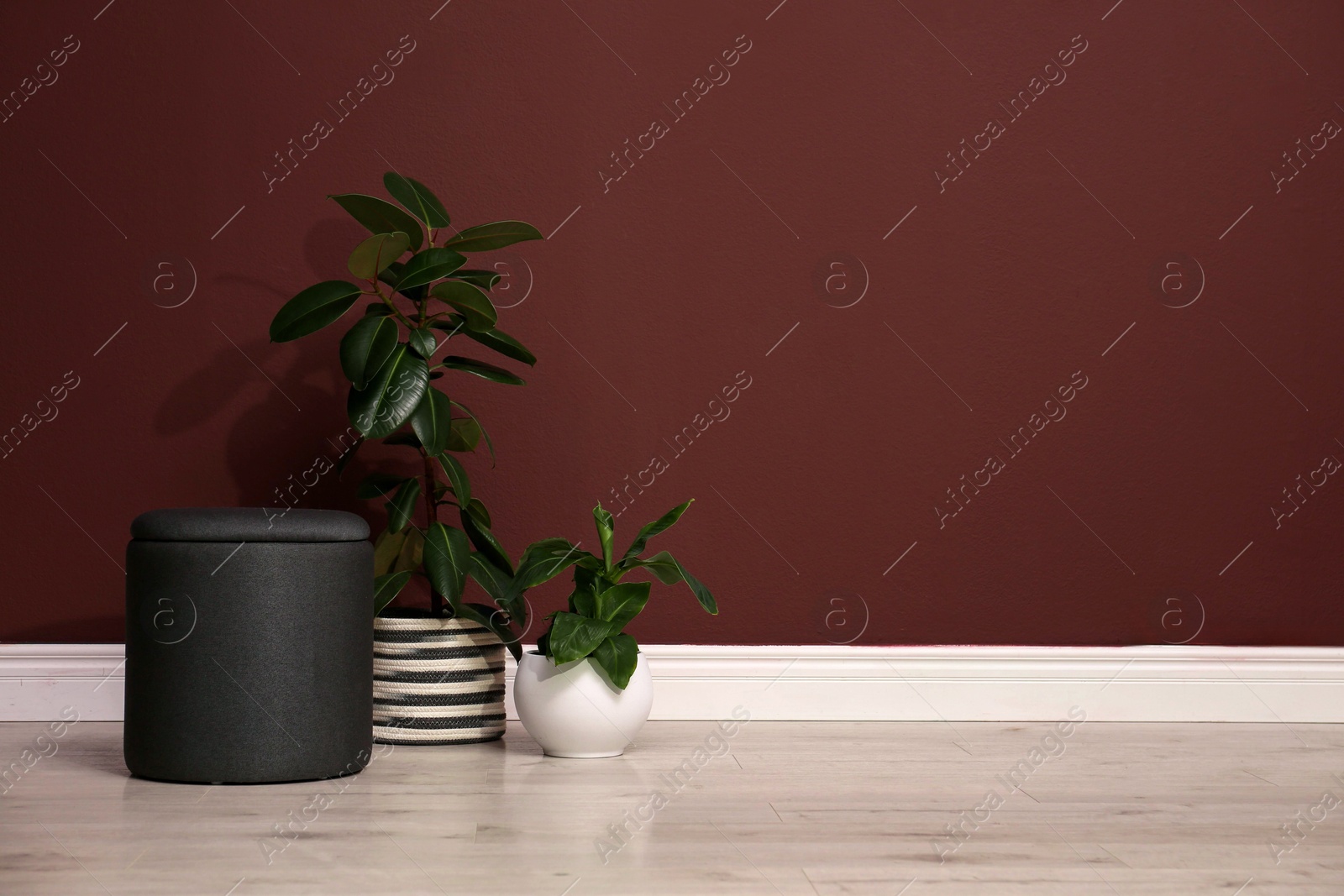 Photo of Stylish black ottoman and potted plants near brown wall indoors. Space for text