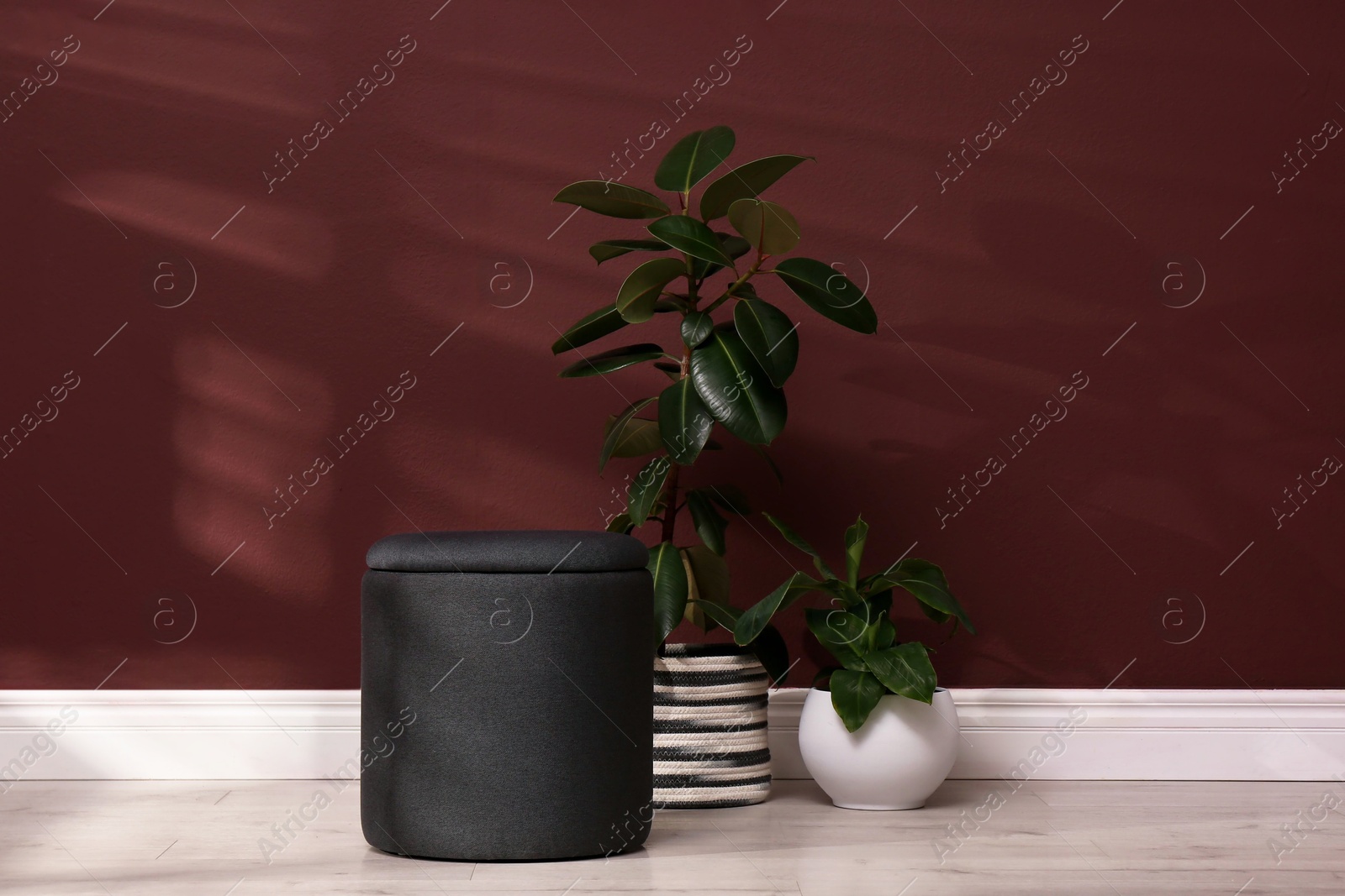 Photo of Stylish black ottoman and potted plants near brown wall indoors