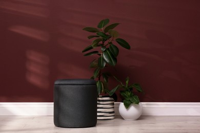 Photo of Stylish black ottoman and potted plants near brown wall indoors