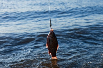 Photo of Catching fish on hook in river. Fishing day