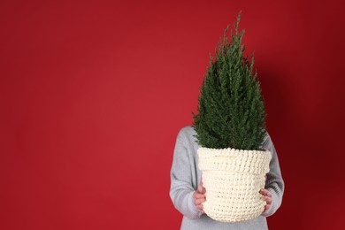 Photo of Woman with potted juniper tree on red background, space for text. Christmas decor