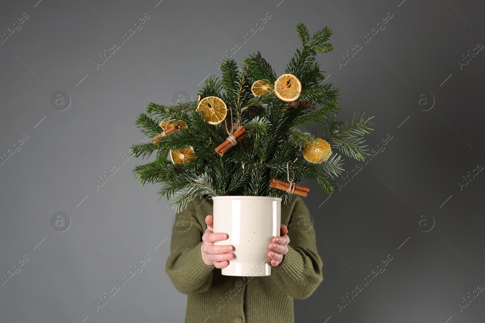 Photo of Woman holding beautiful Christmas composition of fir tree branches decorated with dried orange slices and cinnamon sticks on grey background