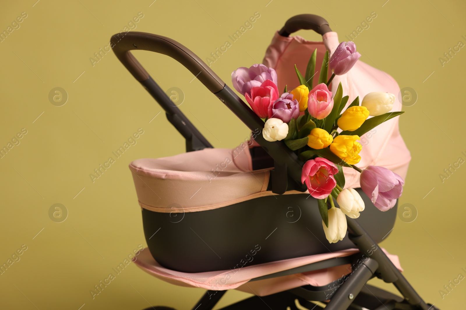 Photo of Stylish doll stroller and tulips on olive background. Kid's toy