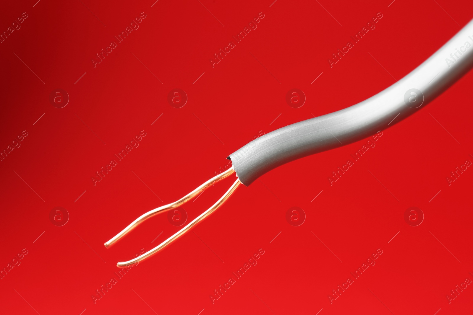 Photo of Stripped electrical wire with copper strands on red background, closeup