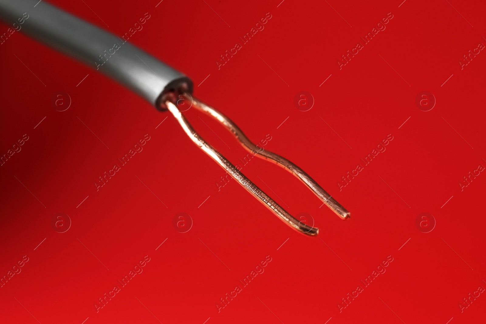 Photo of Stripped electrical wire with copper strands on red background, closeup