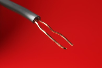 Photo of Stripped electrical wire with copper strands on red background, closeup