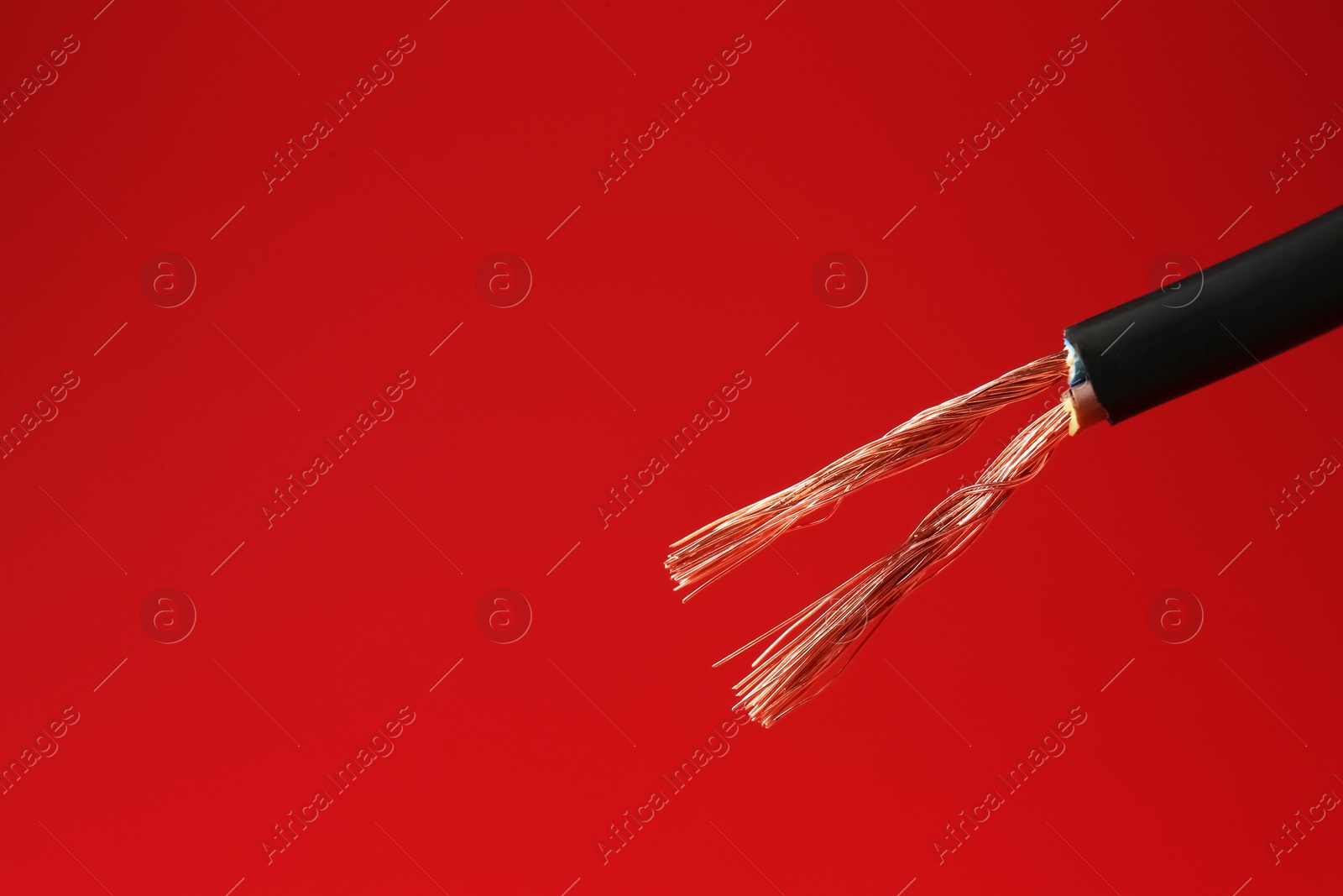 Photo of Stripped electrical wire with copper strands on red background, closeup. Space for text