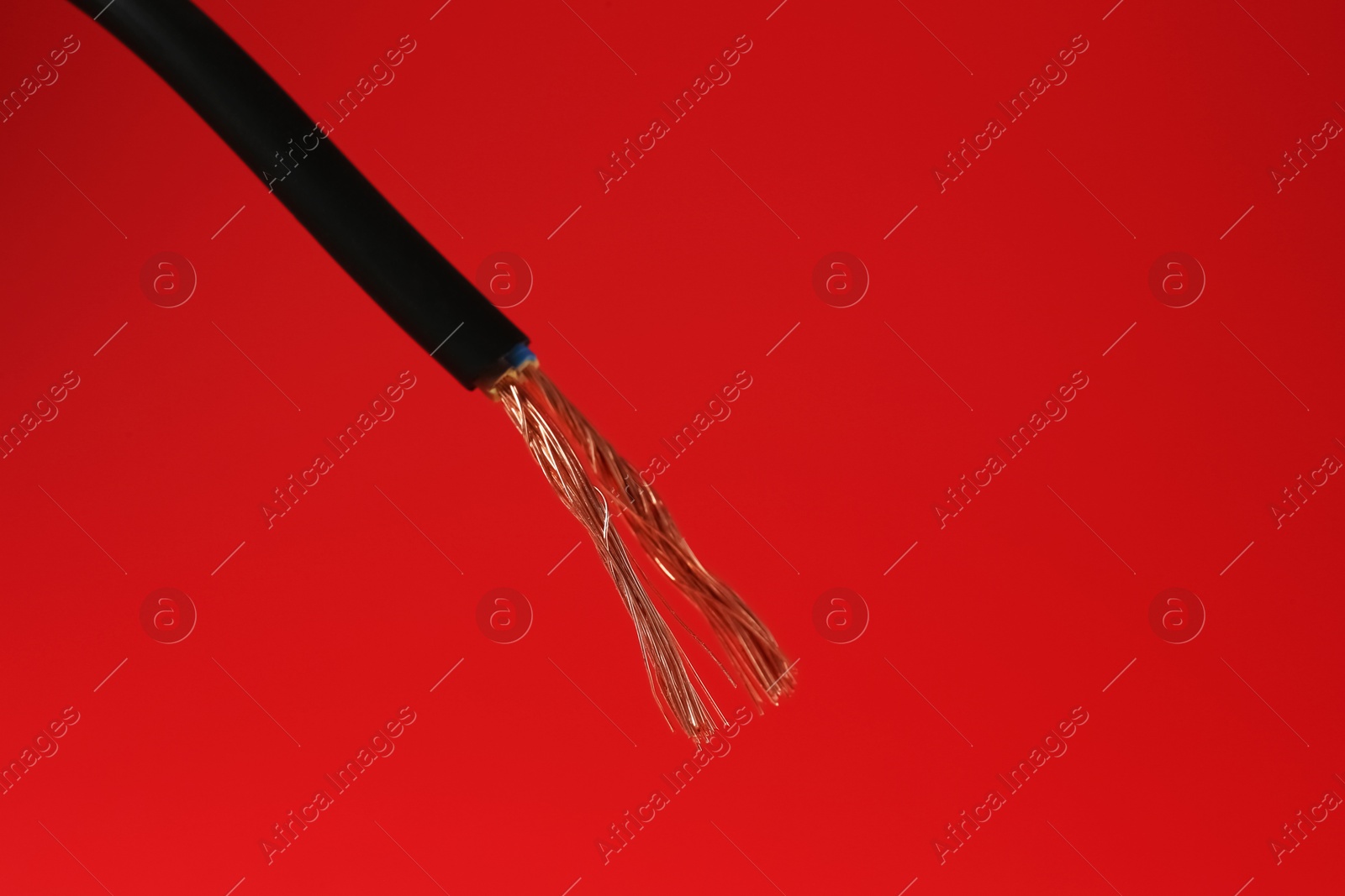 Photo of Stripped electrical wire with copper strands on red background, closeup. Space for text