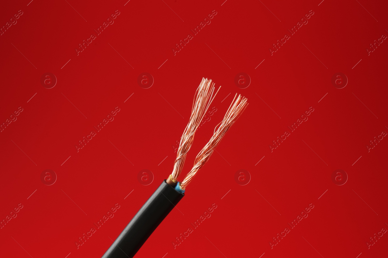 Photo of Stripped electrical wire with copper strands on red background