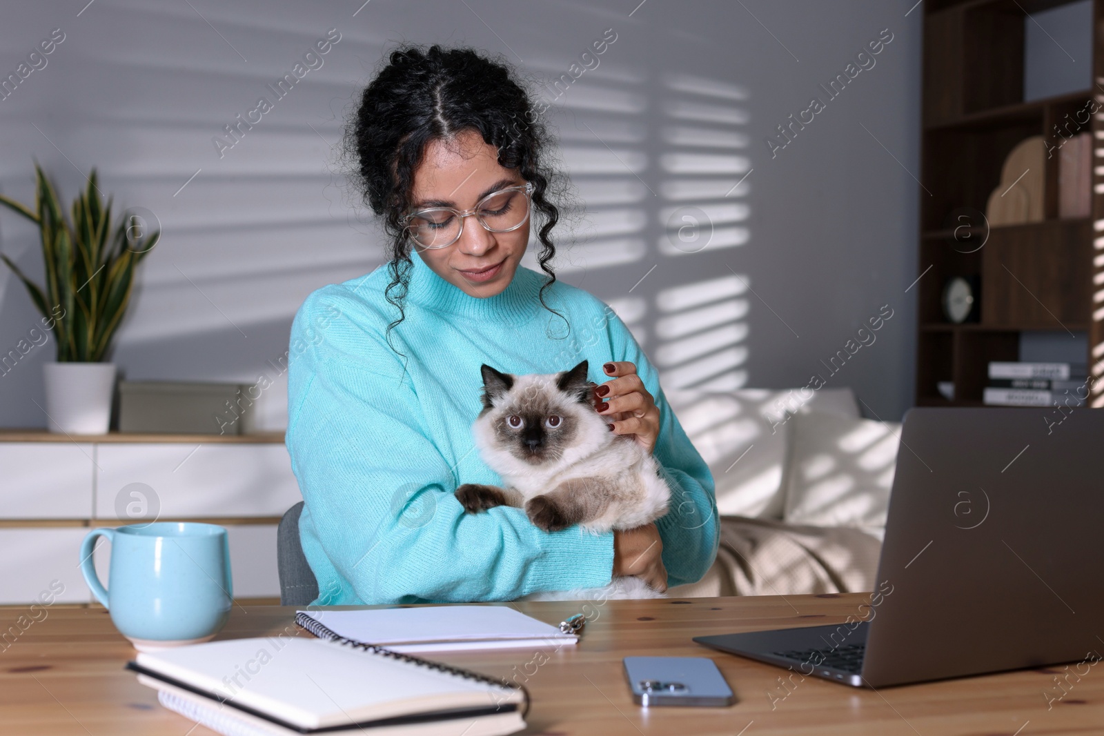 Photo of Beautiful woman with her cute cat working on laptop at desk in home office