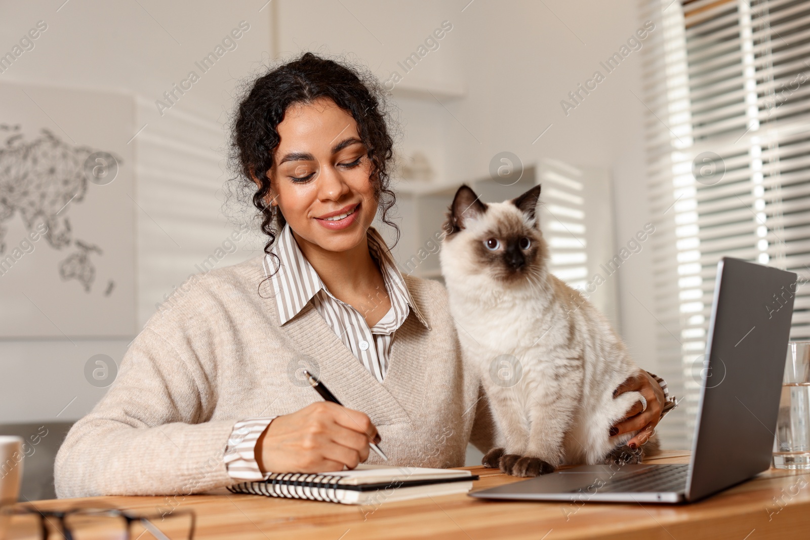 Photo of Beautiful woman with her cute cat working on laptop at desk in home office