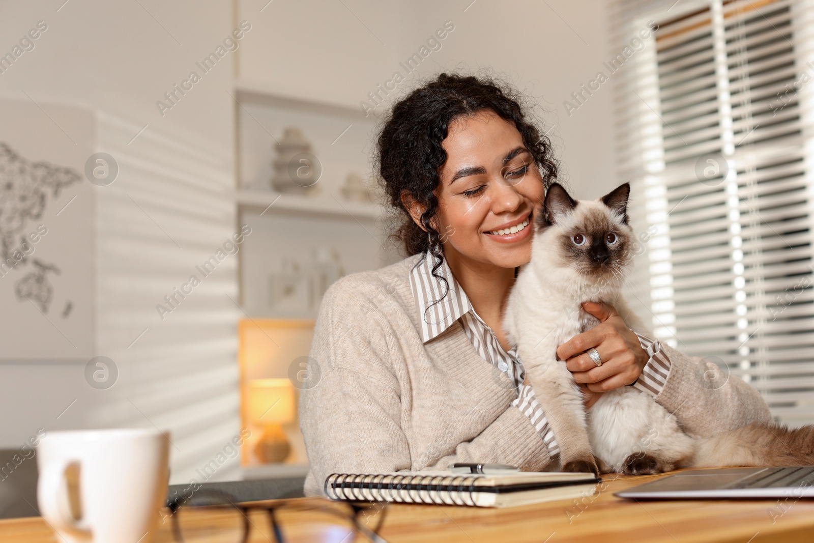 Photo of Beautiful woman with her cute cat working on laptop at desk in home office