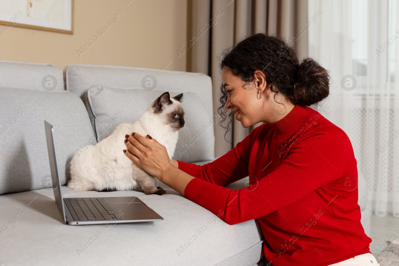 Photo of Beautiful woman with her cute cat working on laptop at home