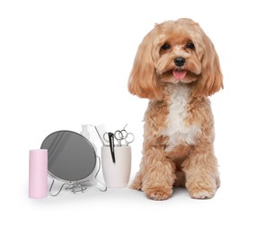 Photo of Cute dog and grooming tools on white background