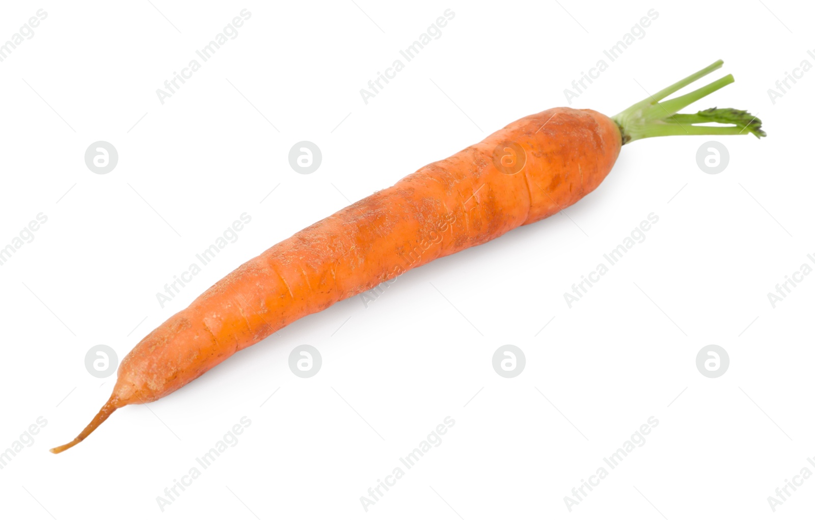 Photo of One fresh carrot isolated on white. Root vegetable