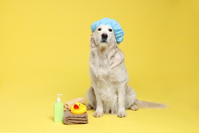 Photo of Cute dog with shower cap and other bath accessories on yellow background