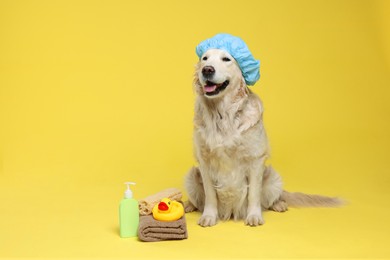 Photo of Cute dog with shower cap and other bath accessories on yellow background. Space for text