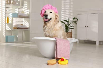 Photo of Cute dog with shower cap in small bathtub and bath accessories at home