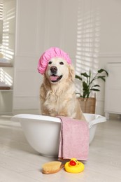 Photo of Cute dog with shower cap in small bathtub and bath accessories at home