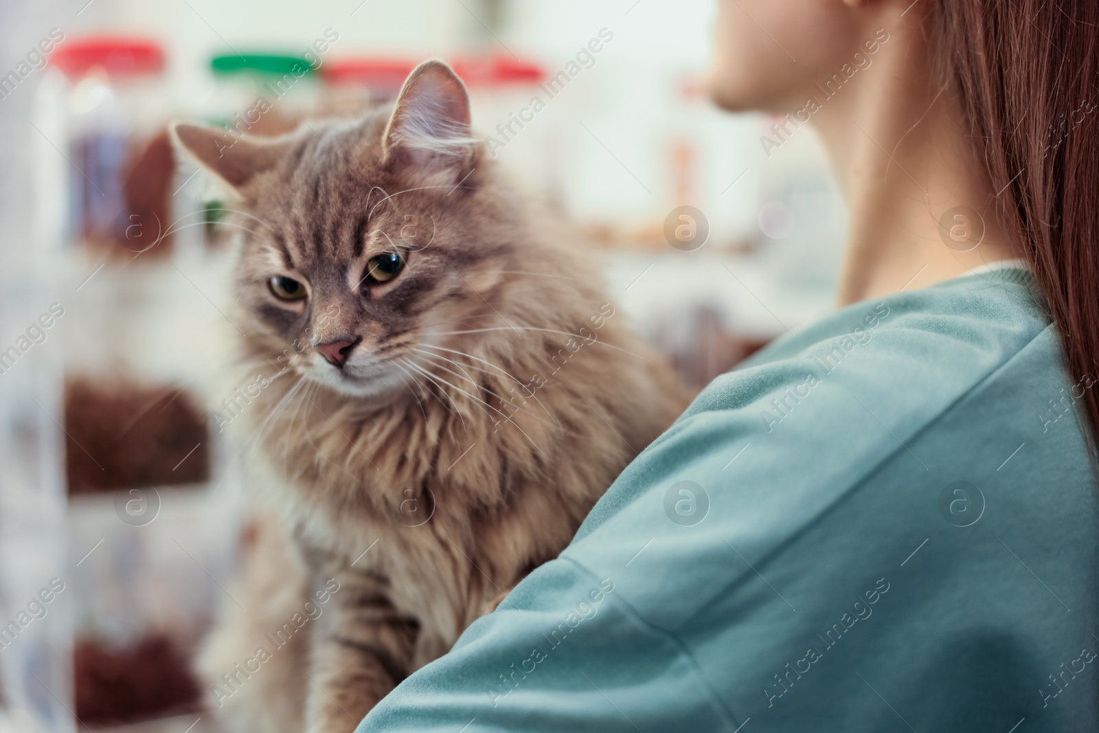 Photo of Woman with her cute cat in pet shop, closeup