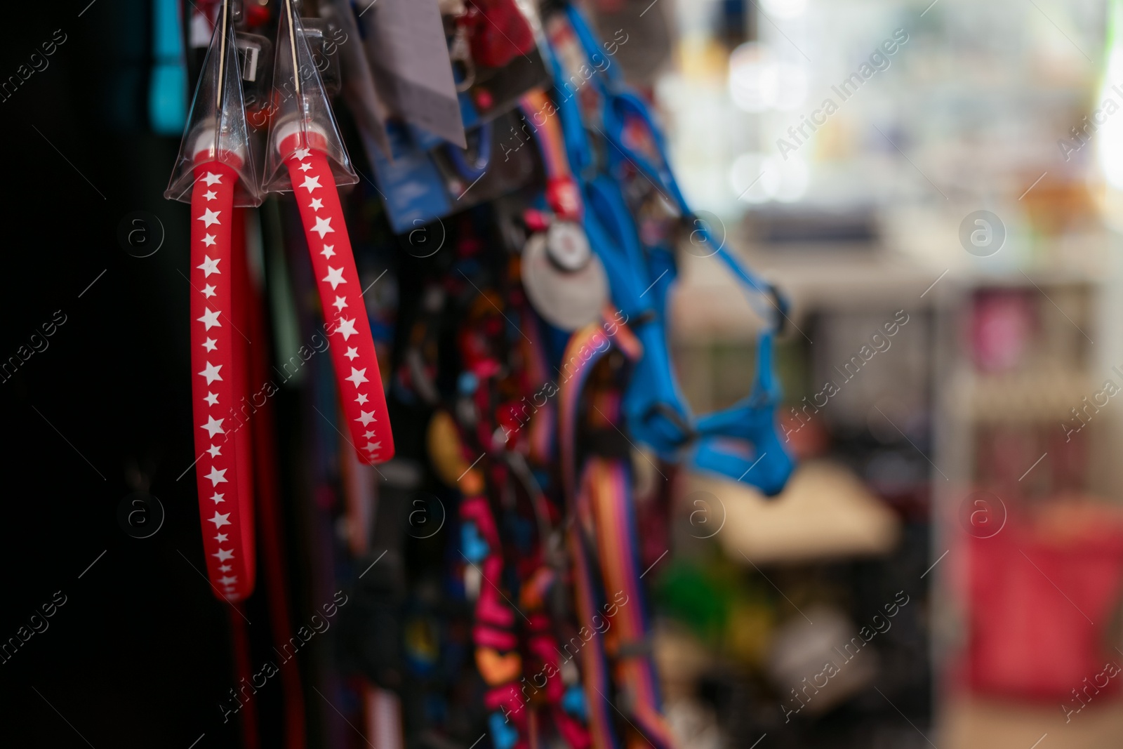 Photo of Different leashes on display in pet shop, closeup. Space for text