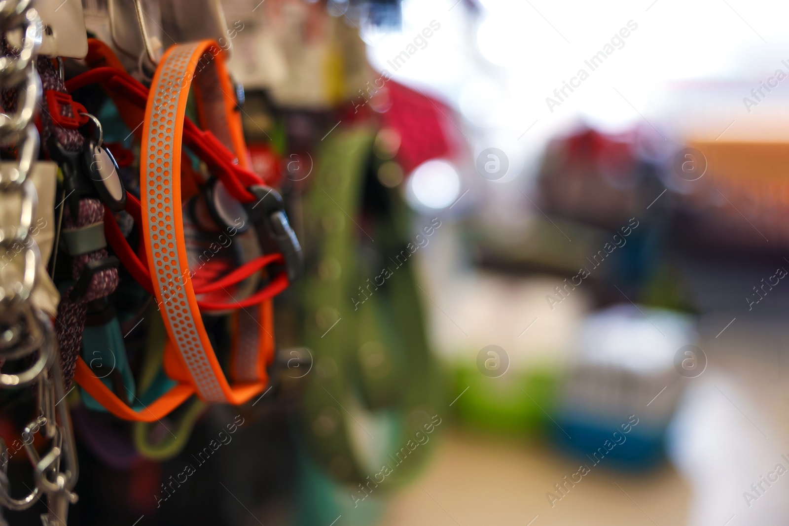 Photo of Different leashes on display in pet shop, closeup. Space for text