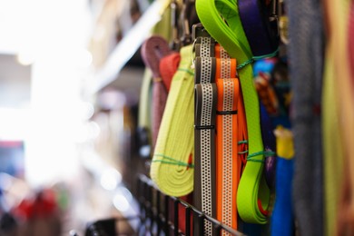 Photo of Different leashes on display in pet shop, closeup. Space for text