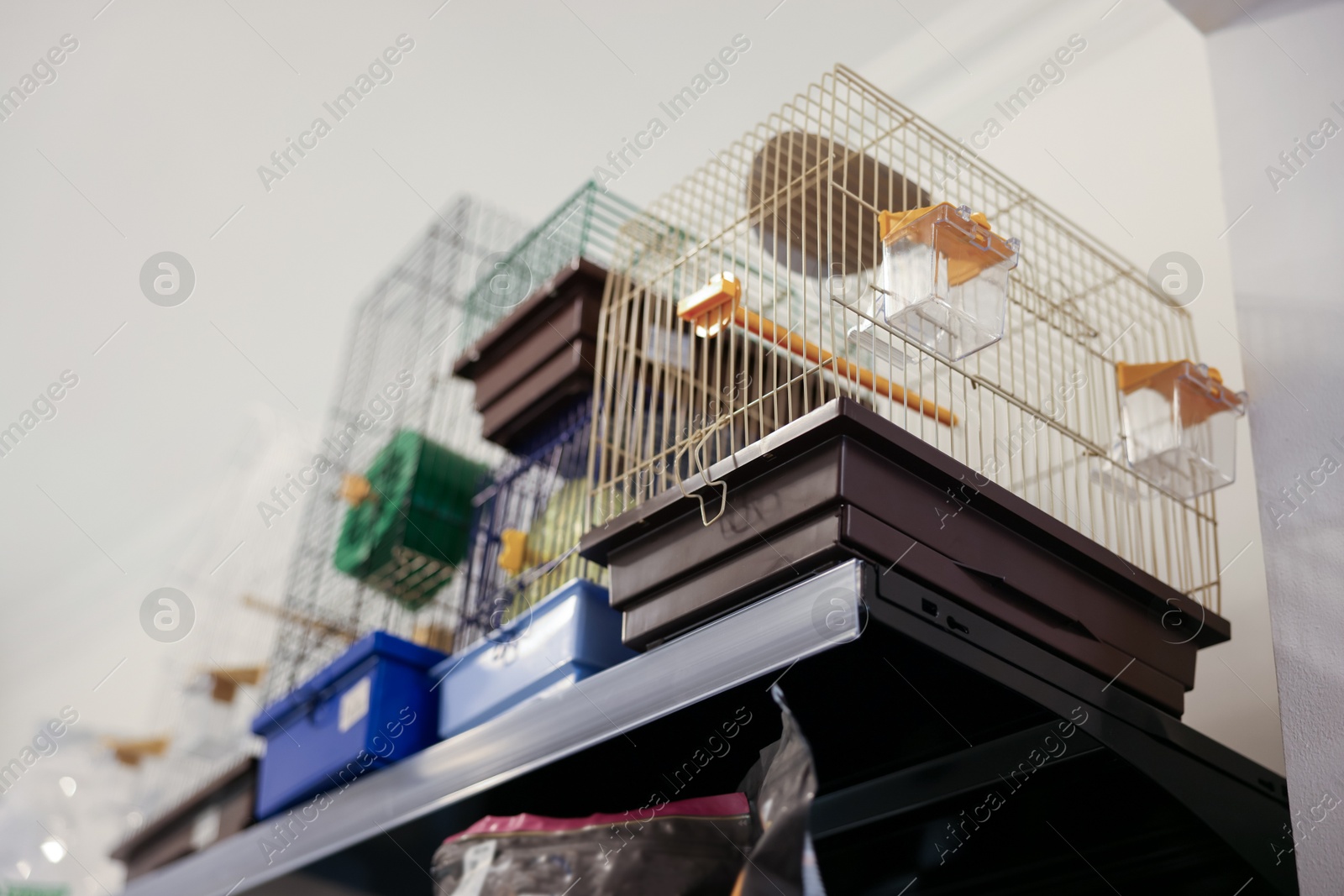 Photo of Bird cages on shelf in pet shop, low angle view