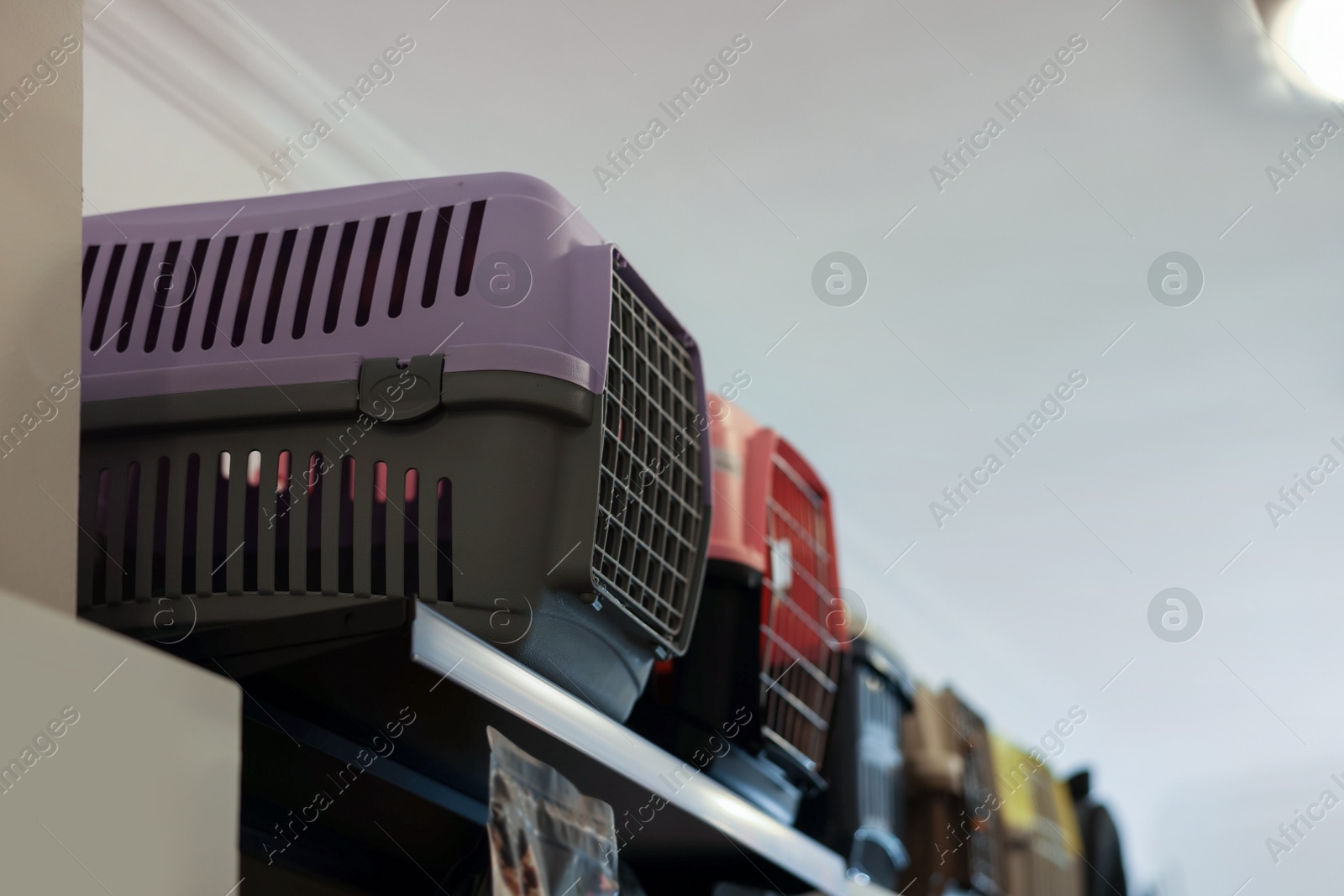 Photo of Different carriers on shelf in pet shop, low angle view. Space for text