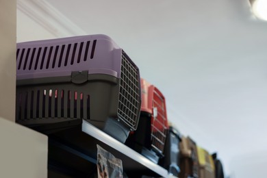 Photo of Different carriers on shelf in pet shop, low angle view. Space for text