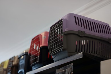 Photo of Different carriers on shelf in pet shop, low angle view. Space for text