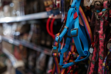 Photo of Different leashes on display in pet shop, closeup. Space for text