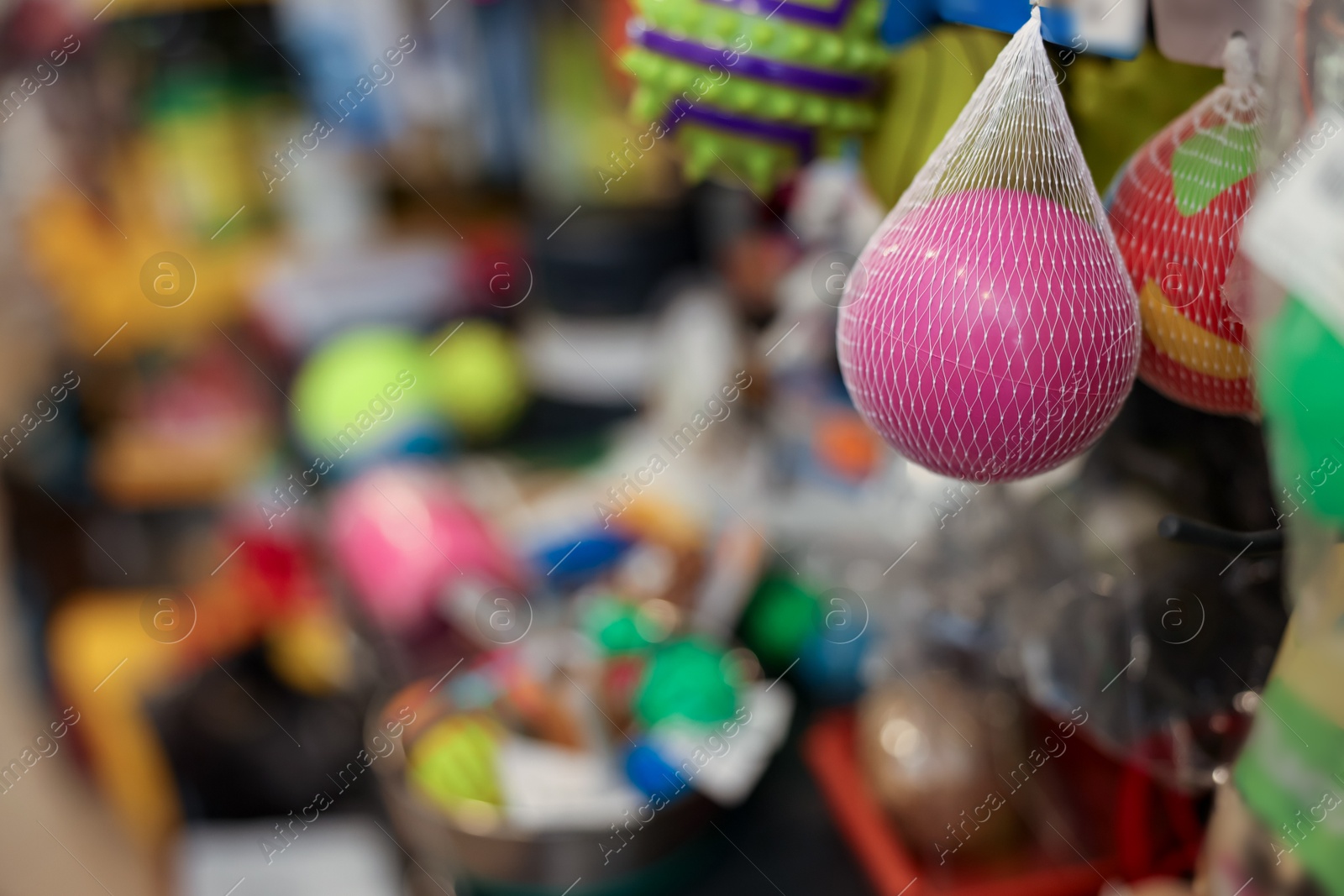 Photo of Toys on display in pet shop, closeup. Space for text