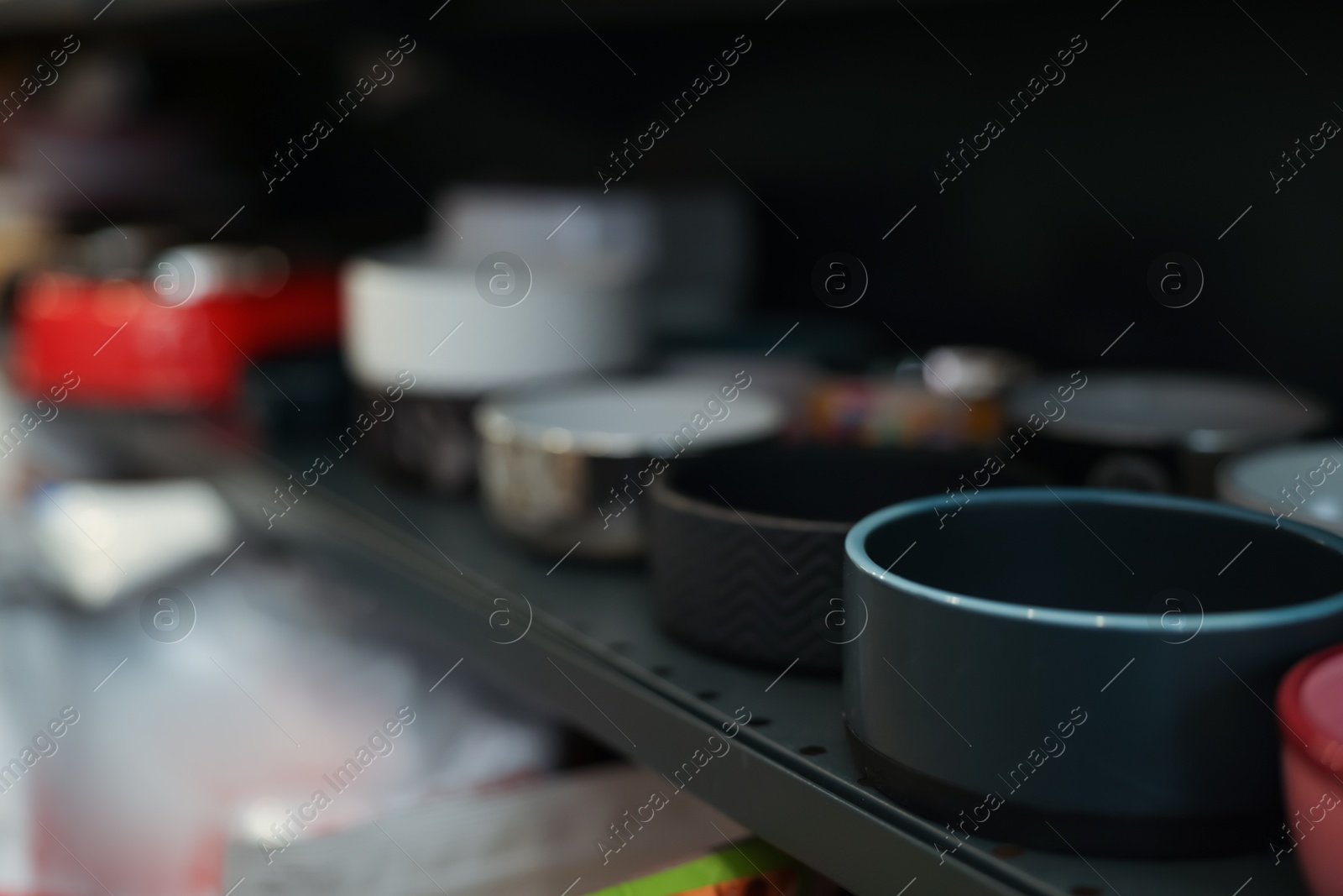 Photo of Different feeding bowls on shelf in pet shop, closeup