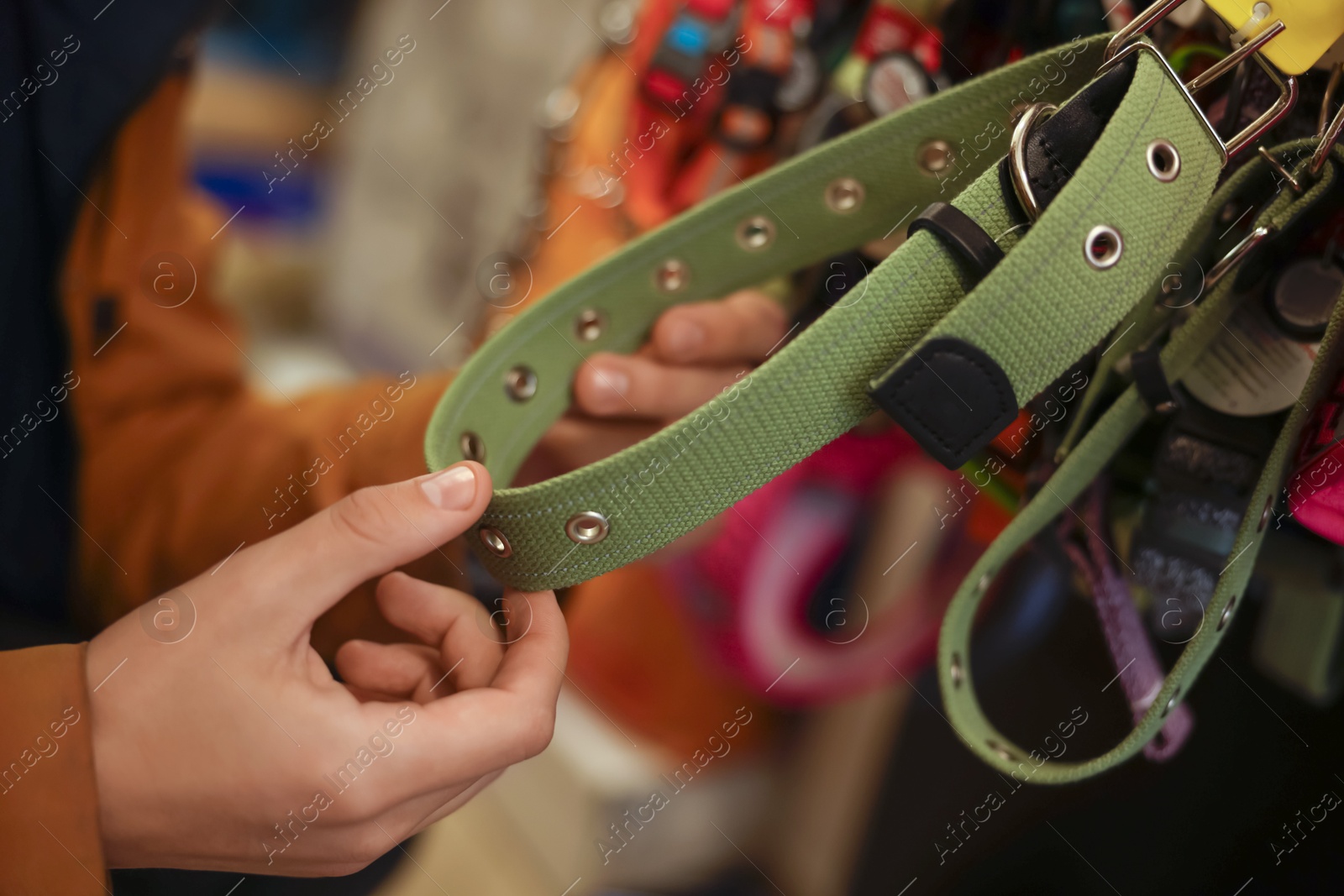 Photo of Woman choosing leash in pet shop, closeup