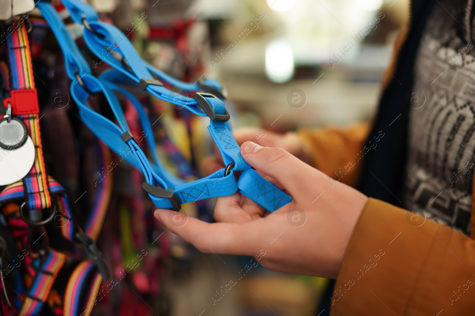 Photo of Woman choosing leash in pet shop, closeup