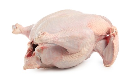 Photo of One whole raw turkey isolated on white