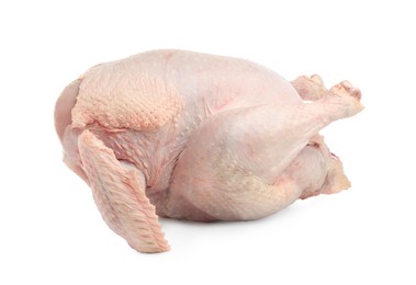 Photo of One whole raw turkey isolated on white